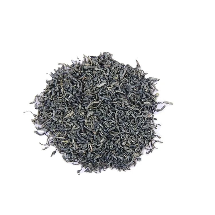 Haccp Te Verde Oem Health High Quality Manufacturer Green Tea For Morocco