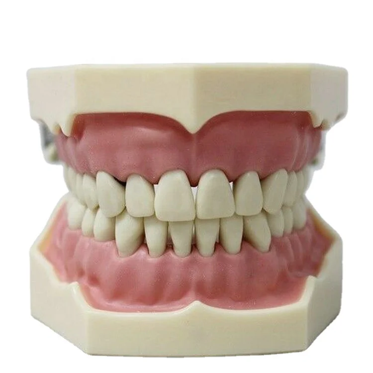 3D-печать медицинских целей пластмассовая анатомическая модель человеческого мозга сердца зубов медицинский скелет для