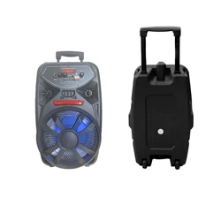 8 inch Subwoofer Outdoor Rechargeable portable Speaker