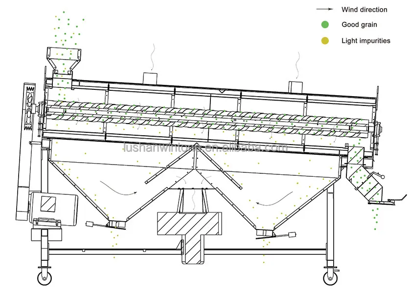 Factory Direct Sale Bean Peeler and Polisher machine used in beans processing line