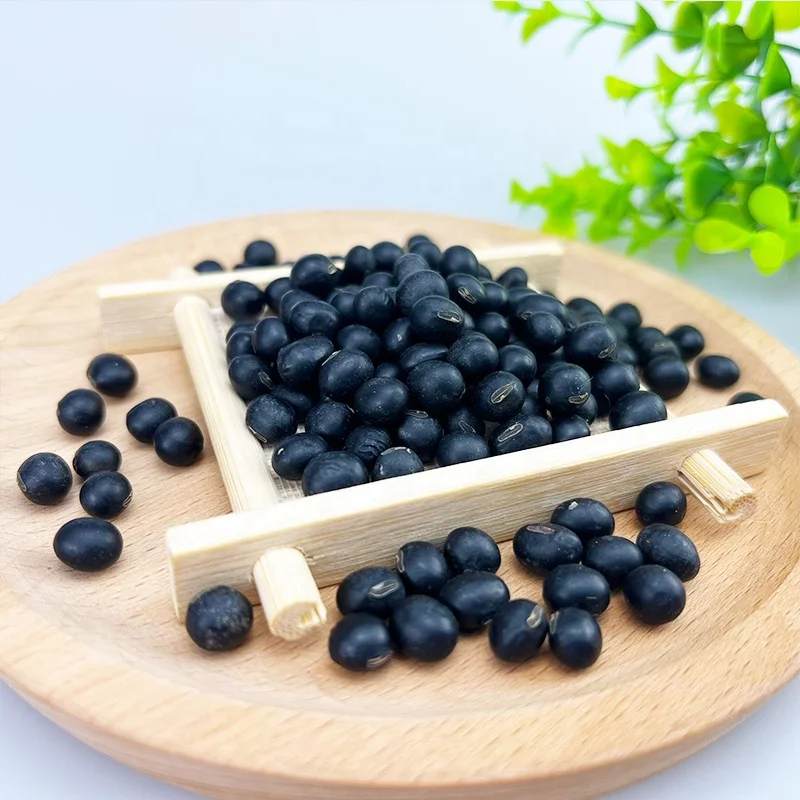 New Crop China Original NON GMO Black Bean With Green/Yellow Kernel For Porridge OR Milk