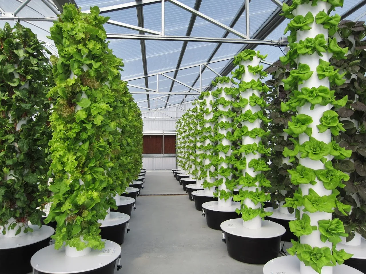  Aeroponic садовая башня с огнями