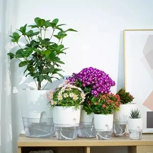 Indoor Office Round Hydroponic Transparent Clear Succulents Planter Self Watering Plastic Flower Plant Pots