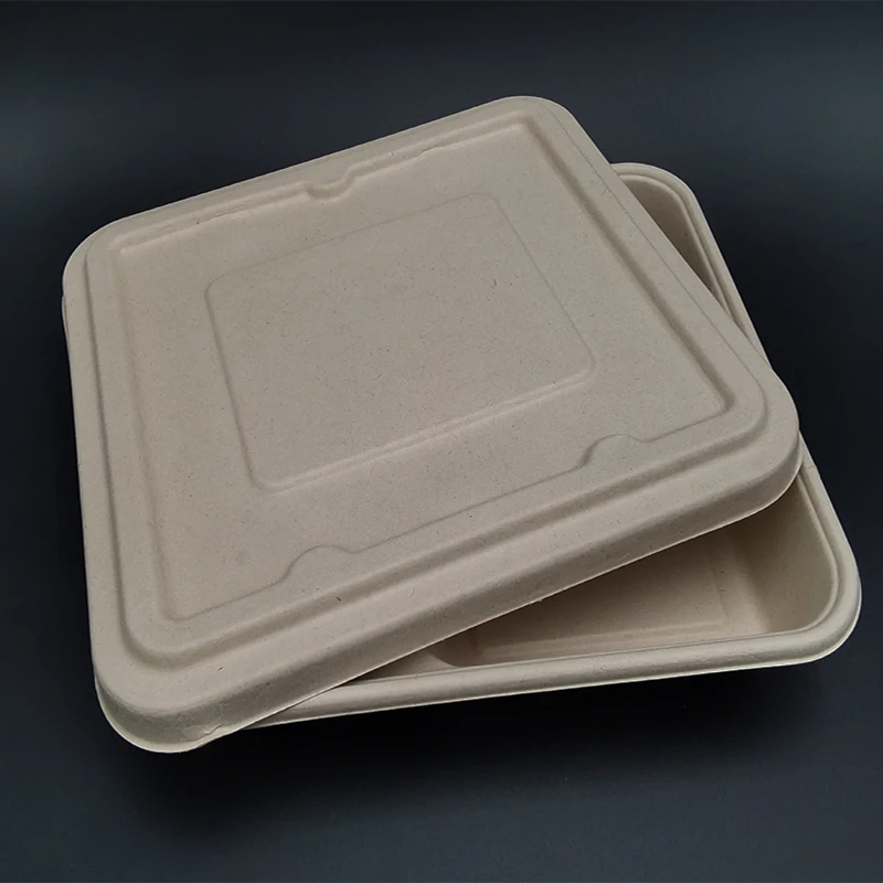 sugar cane 100% biodegradable disposable bagasse compartment food tray with lid