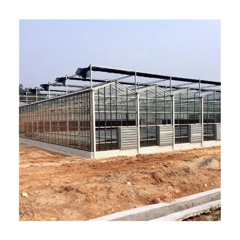  Large Multi-span Commercial Venlo Glass Greenhouse for
