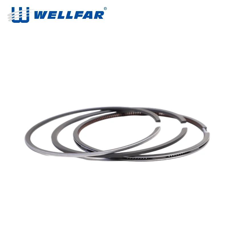Wellfar OEM V8 diesel 6.4L engine Powerstroke 41940 95mm piston ring for Ford