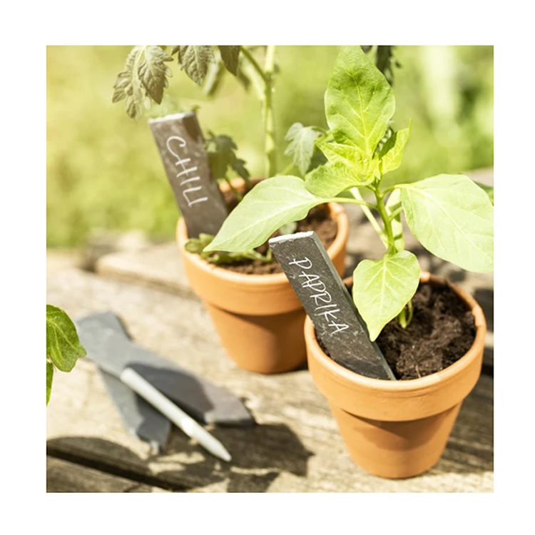 Natural Black Slate Laser Letter Flower Plant Labeling Tag with Writing Chalk