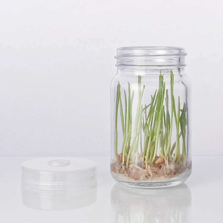 100ml plant tissue culture glass bottle mushroom culture bottle ecological glass bottle with plastic cap