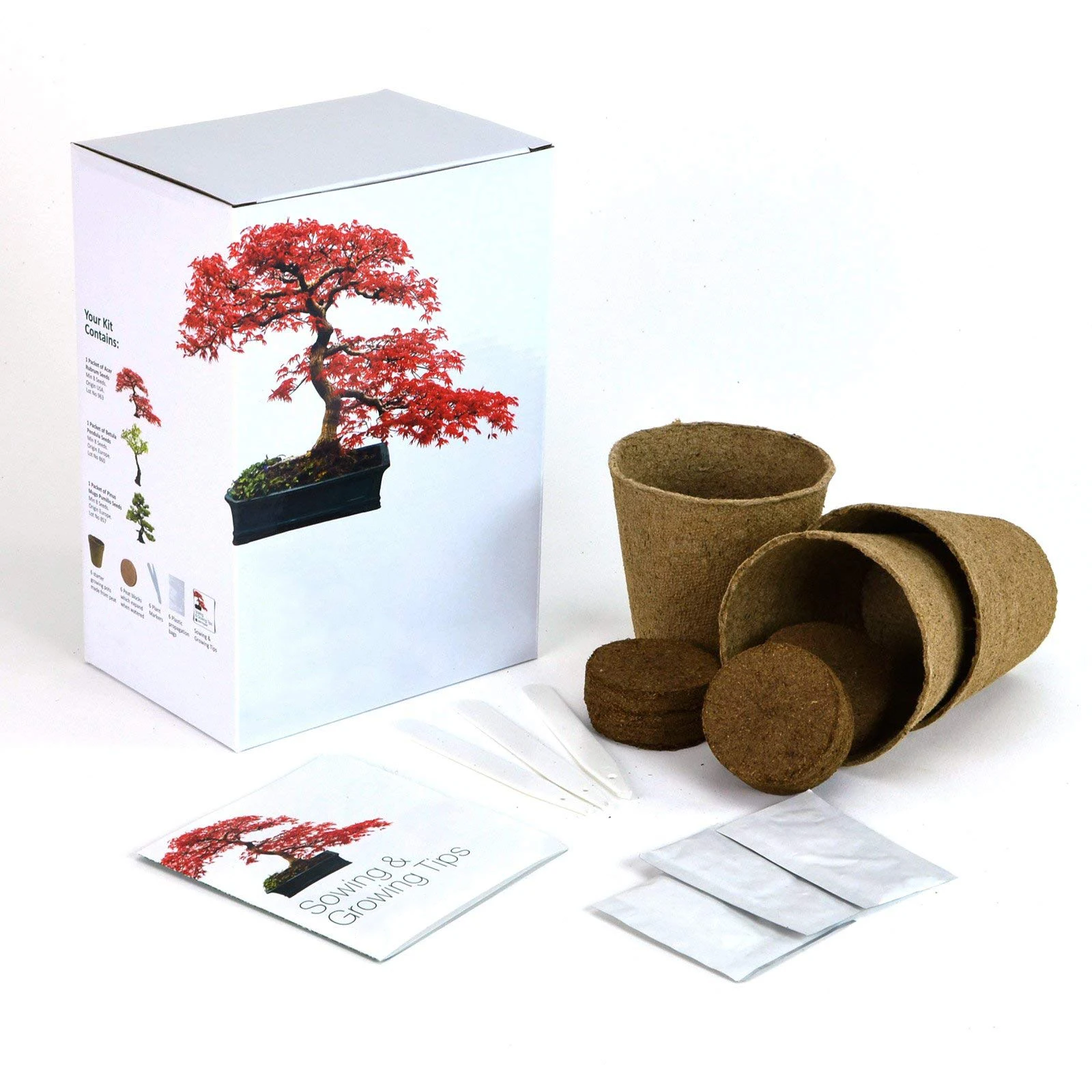 
Hot selling Distinctive Bonsai Trees seed kit for indoor decoration 