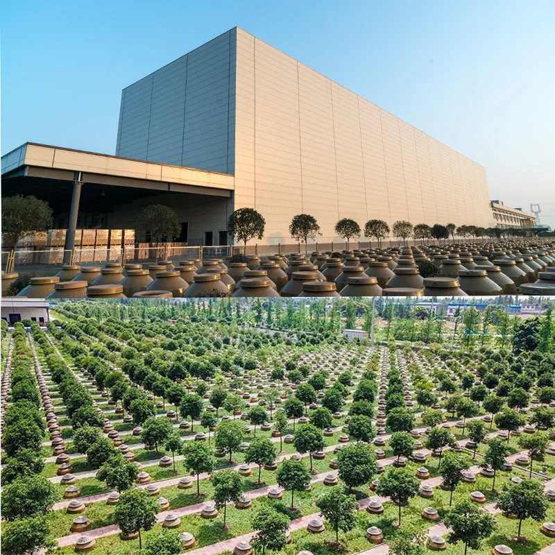 Adalah Halal Kecap Kikkoman Dark Bulk Soy Sauce Chinese Clear Soy Fermentation Sauce Sweet Soy Sauce