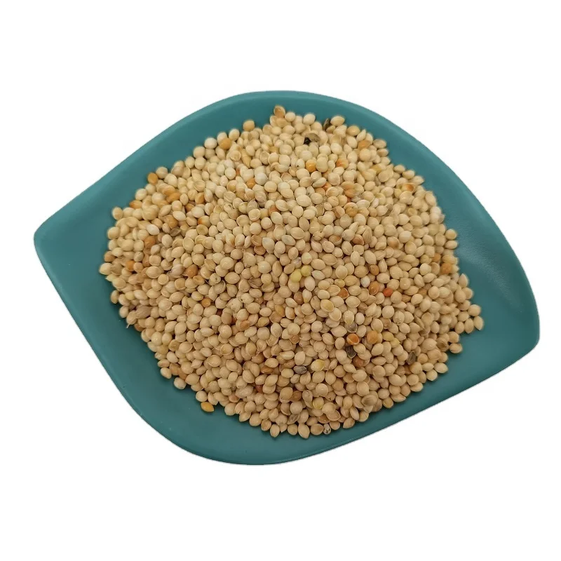 Nature Chinese White millet For Bird Feeds white broom corn millet with the cheapest price
