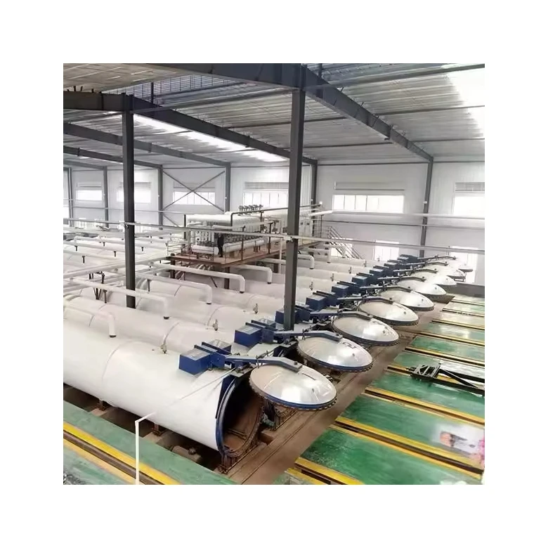 Full Automatic Aac Brick Making Machine Fly Ash Aac Plant Autoclaved Aerated Concrete Block Production Line