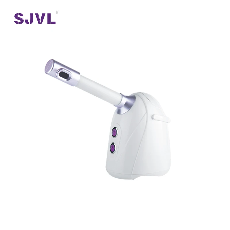 Beauty Equipment Home Use Ion Nano Face Spray Portable Facial Steamer