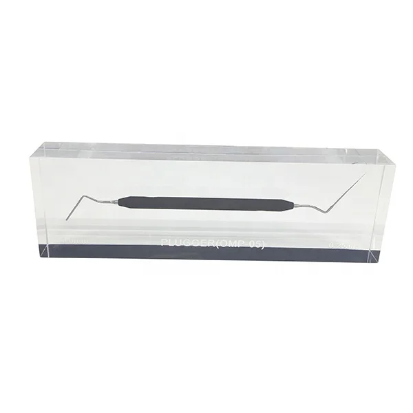 Customized Clear Acrylic Inclusions Gift Resin Embedment Acrylic Block