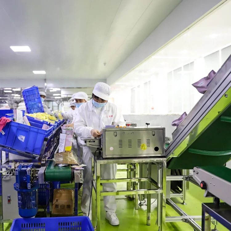 Professional custom fast food survival food rations large hot pot pasta fast food