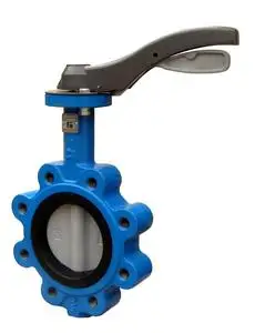 
Excellent DN40 Soft Seal PTFE Manual Handle Wafer Valve Stainless Steel 304 Disc Butterfly Valve 