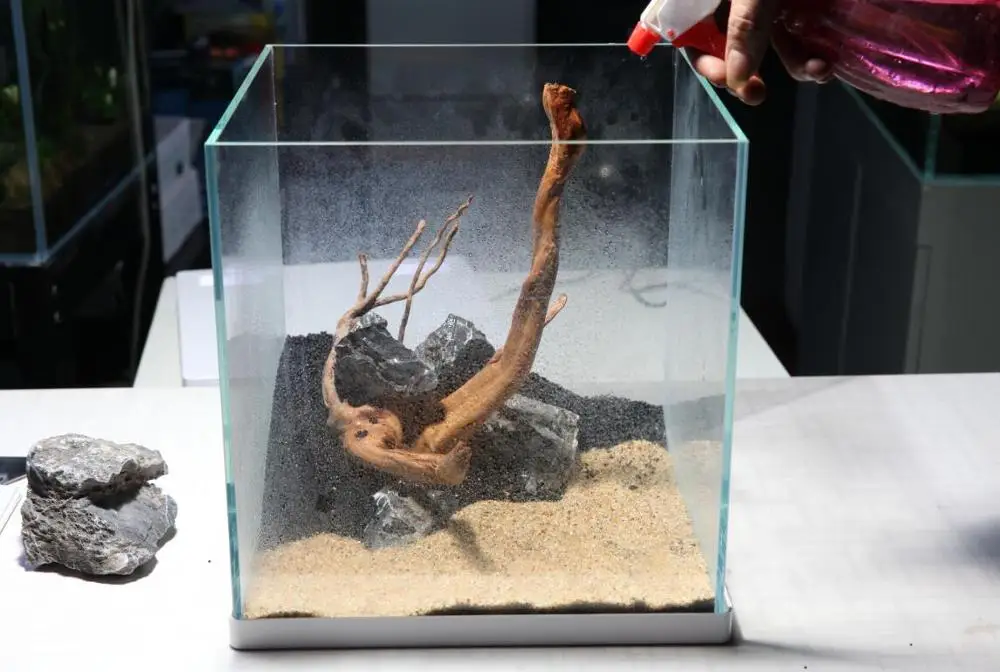 
aquatic plant coral decoration glass mini fish rimless tank aquarium 