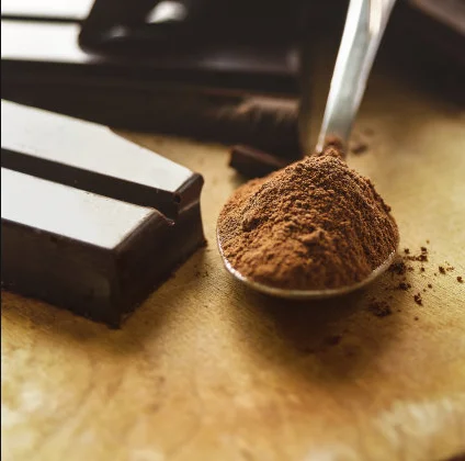 Wholesale Factory price ice cream powder Chocolate Flavor powder