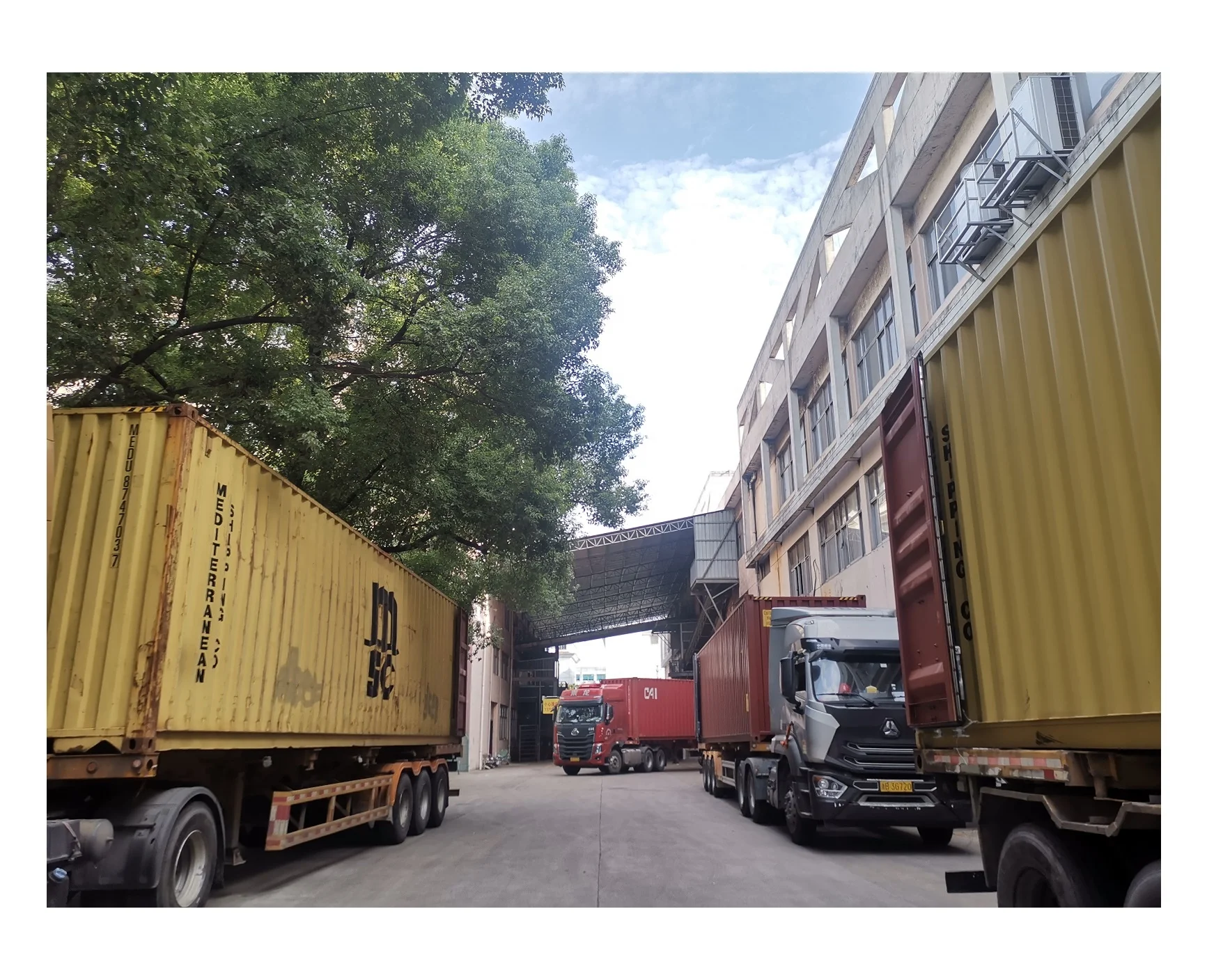 Mauritania Morocco Libya  Mali Niger Healthy 41022 Chunmee Green Tea from Tea Supplier Vert De Chine