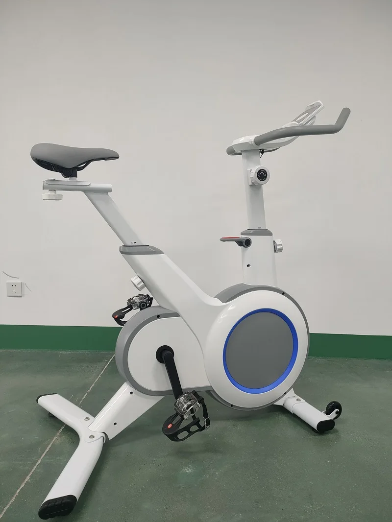 Indoor Spin Bike Exercise Cycling Bicycle Fitness Spinning Bike for Home Gym Cardio