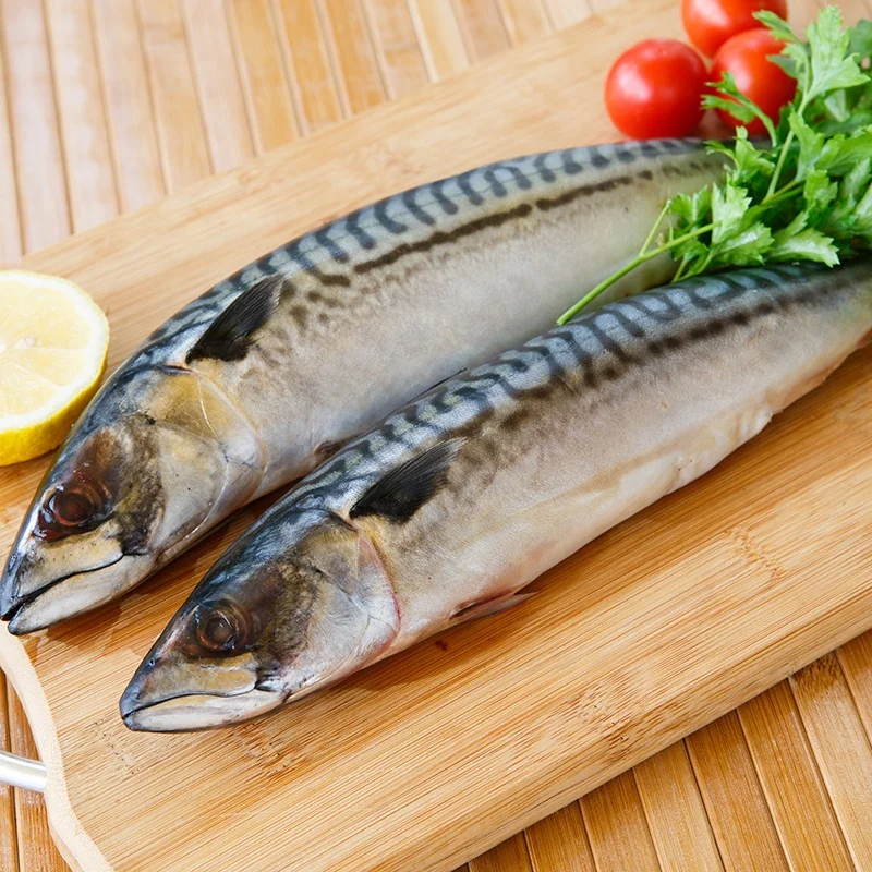 
Frozen foood pacific mackerel 8-10pcs/kg to Indonesia 