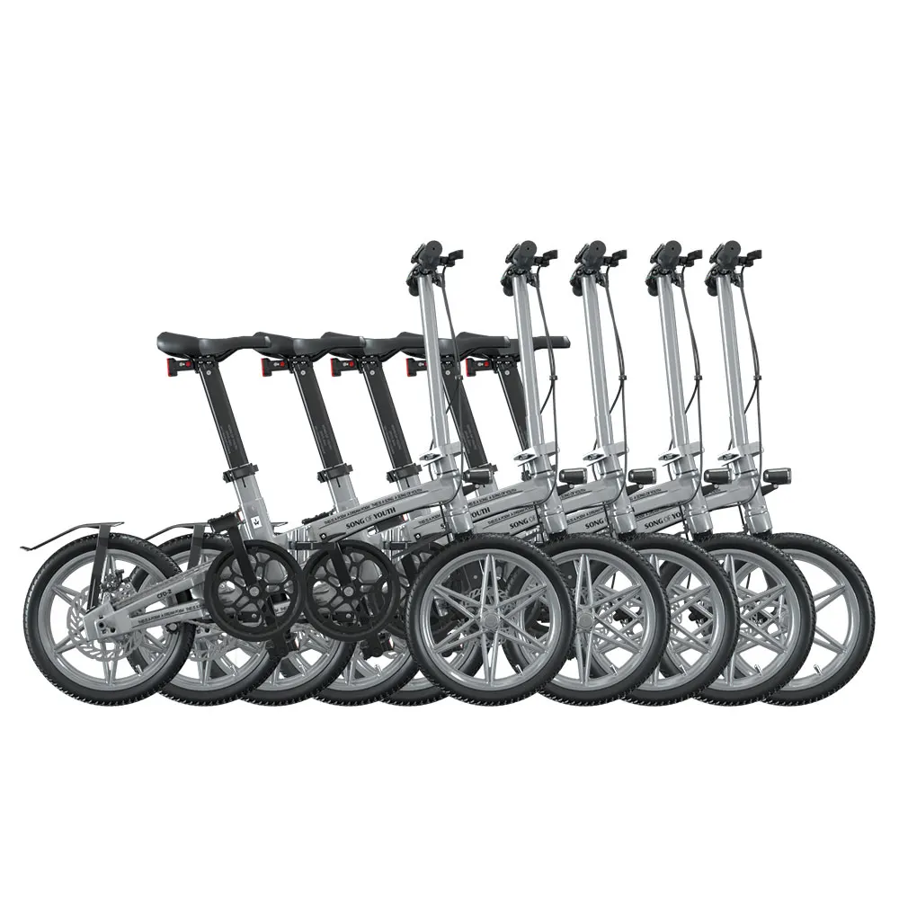 Japan Chain Drive Strong Power Hidden battery City Adults Bicycle Electric bike Ebike