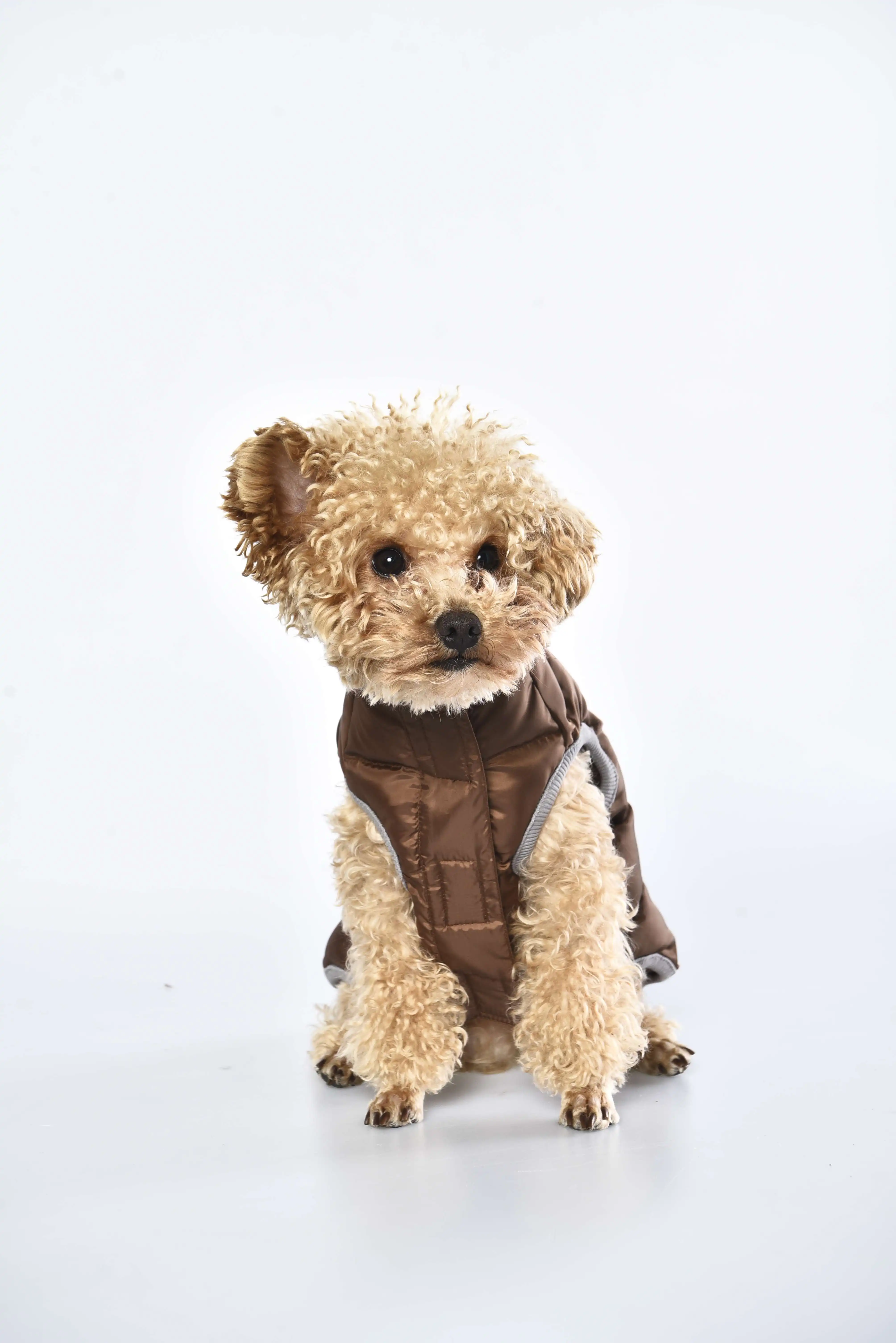 Custom Eco-Friendly 100% RPET Fabric Pet Clothes Recycled Dog Coat With Storage Bag