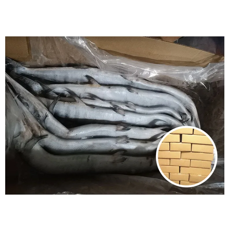 Good Quality Silver Needlefish to Tanzania