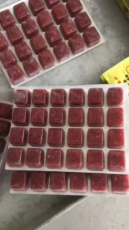 Frozen Bloodworms Frozen Red Worms Ornamental Fish Food