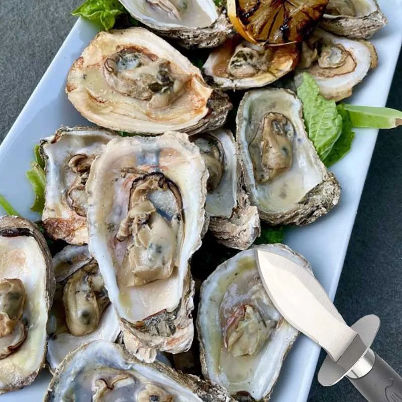 Wholesale Cheap Shucking Knife Seafood Opener Tool Scallop Shellfish Knife With Non-Slip PP Handle