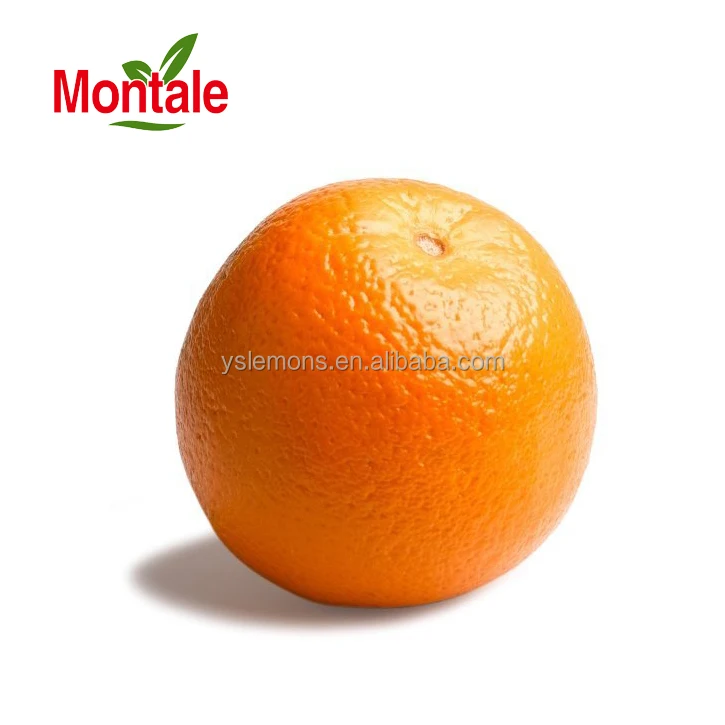 Montale Direct Wholesale Farm Fresh Orange fresh navel orange fresh oranges