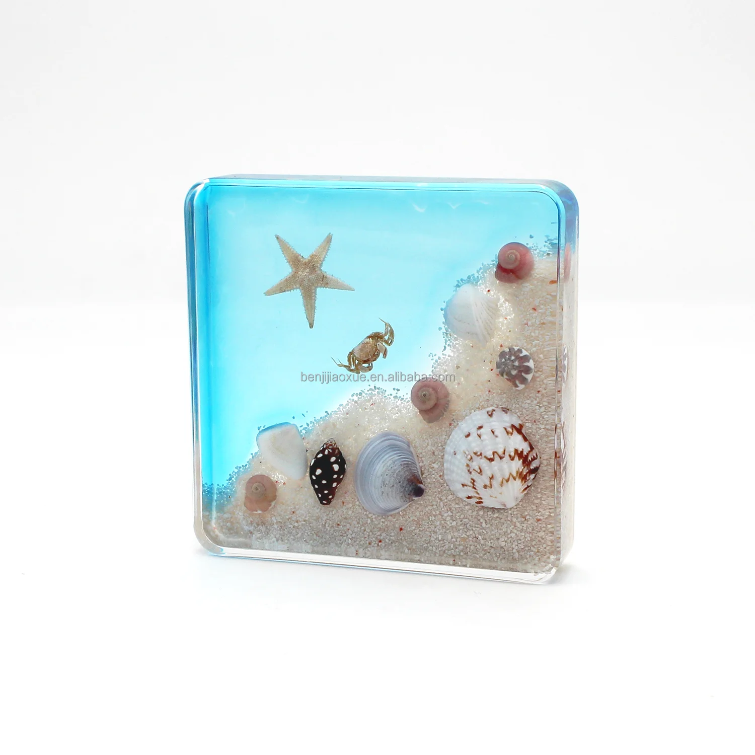 Promotion gift sea animal life resin crafts sand beach crab specimen scenery desk shells decoration