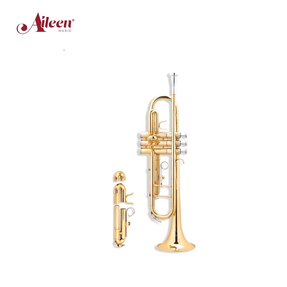 AileenMusic китайская фабрика bB/C Ключ среднего класса желтая Латунная Труба (TP-S450G)