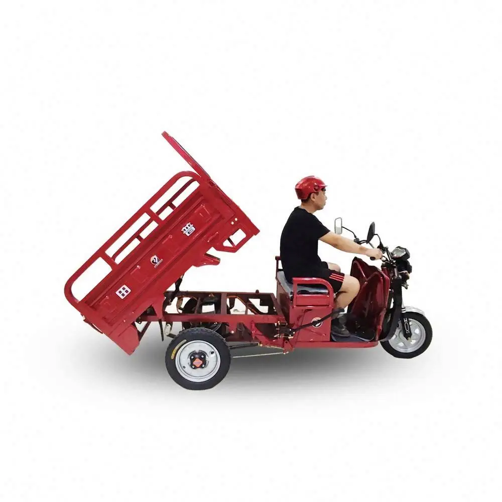 Well 1.5M Trike 300cc 60V Electric 3 Wheel Motorcycles for Adults Cargo Bike 1000kw Gn 125 Motorcycle