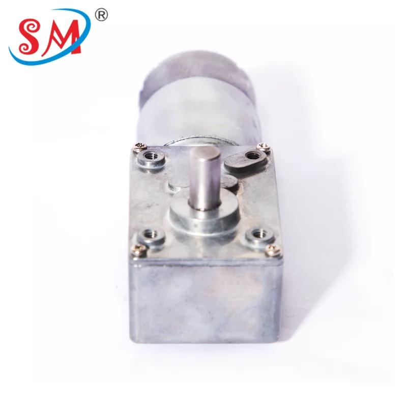 4058 Rotisserie BBQ Motor Dc Brush Spur Micro Small Worm Gear Motor With Hall Encoder Geared Reducer