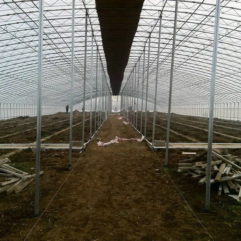 Однослойная и небольшая тепличная система aquaponic для продажи