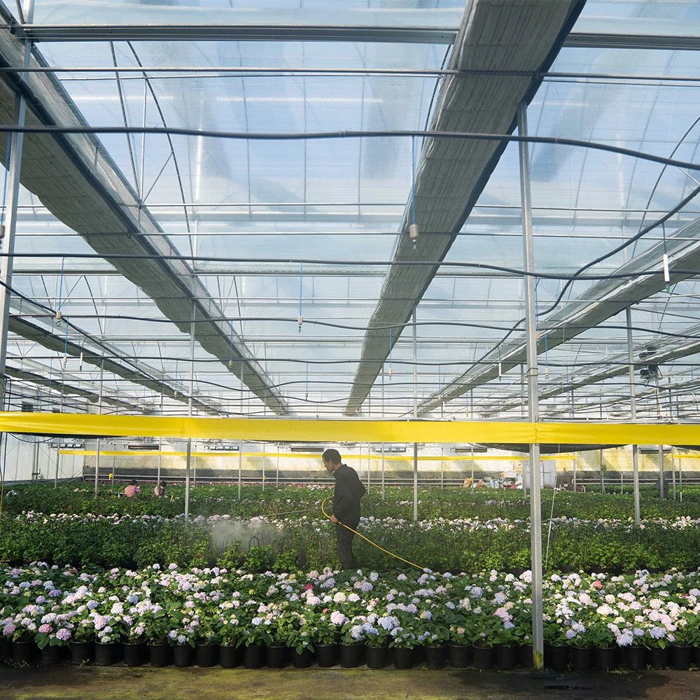 Factory price greenhouse steel for outdoors multi-span agricultural greenhouse cooling system