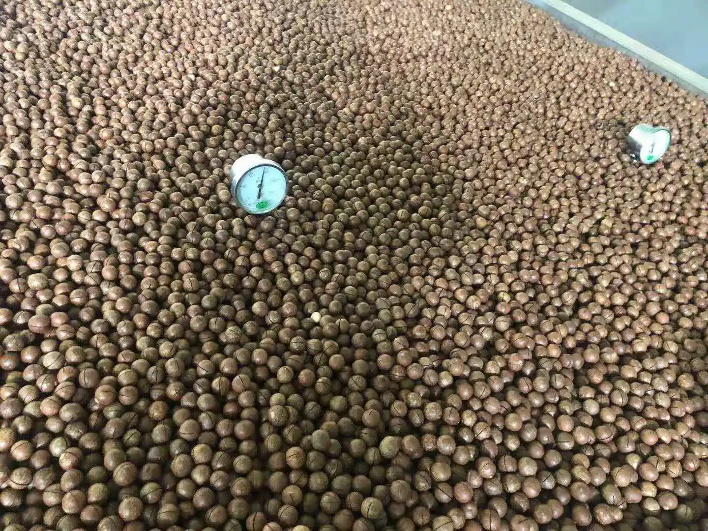 Macadamia Nuts Roasted Macadamia Organic Macadamia Nuts