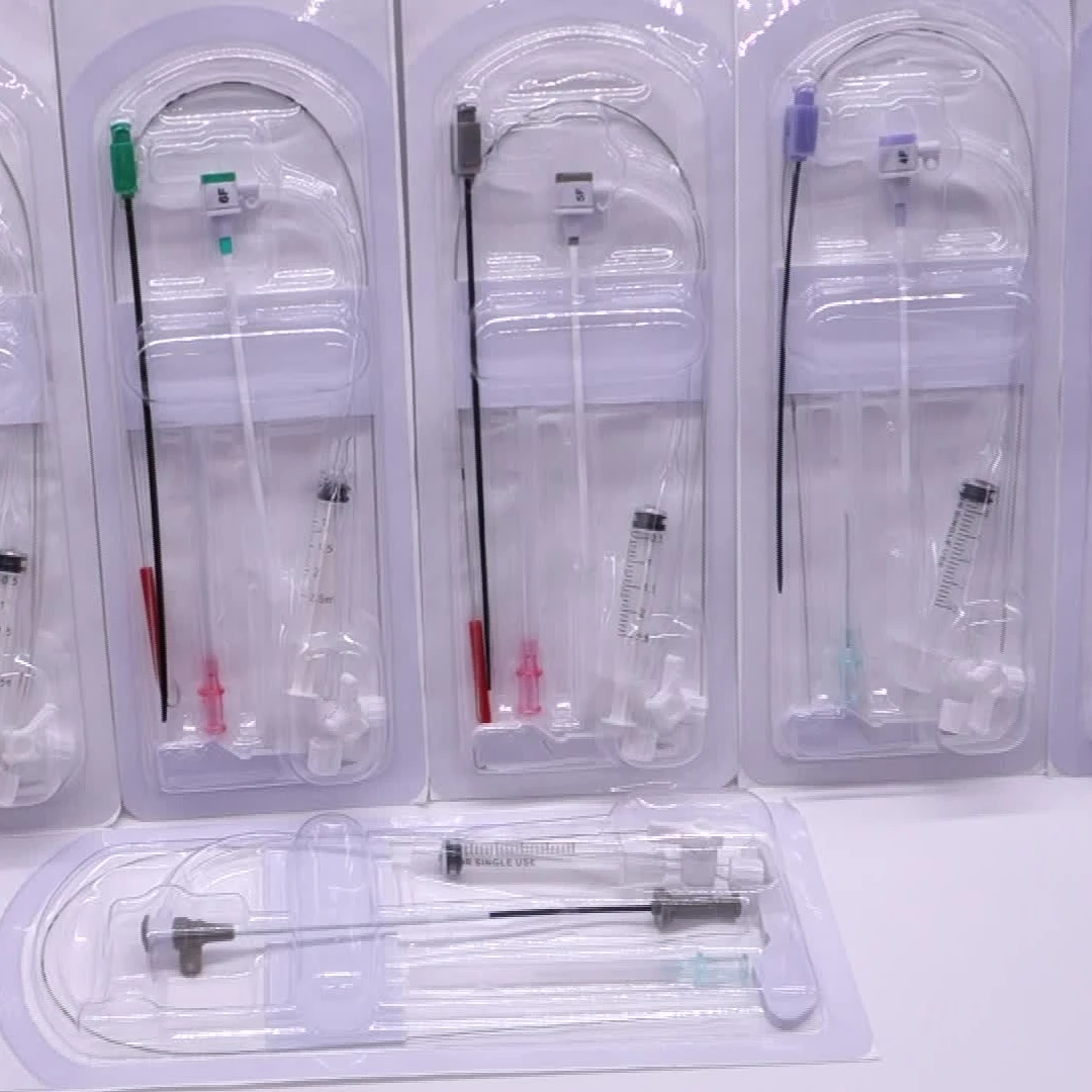 
Disposable Medical Supplies Interventional Cardiology Angiography Introducer Sheath Medical Device Manufacturer 