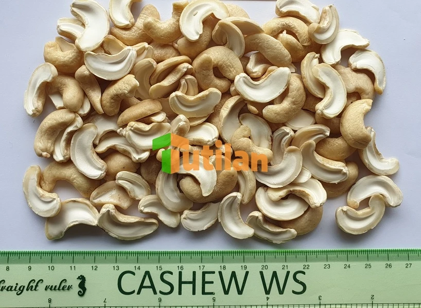 High Quality Broken Pieces Cashew Brand Good Price From Vietnam