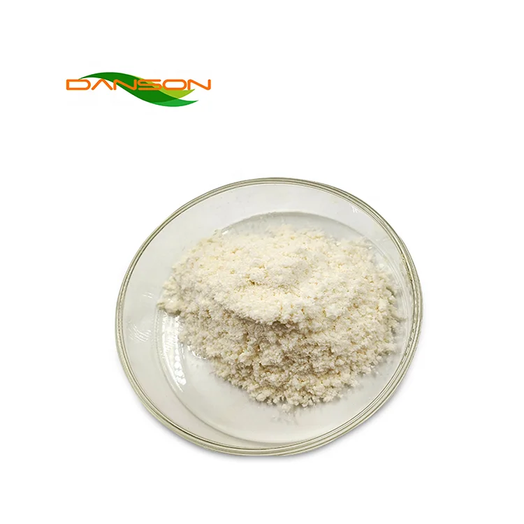 Factory price docosahexaenoic acid DHA omega 3 powder omega-3 fish oil omega-3 powder