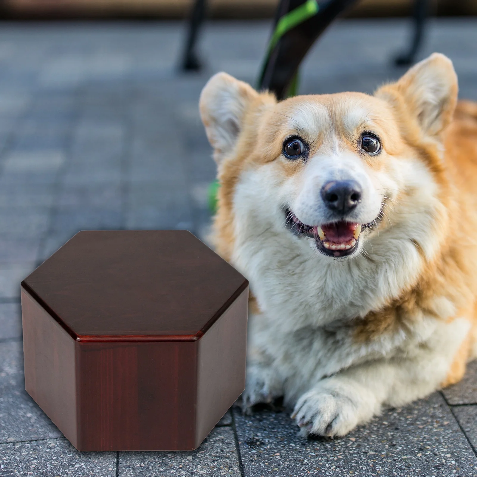 Pet Urn Box Top Sales Wood urns for pets Wooden Luxury Custom box for Dogs Pet Caskets and Urns Wooden Coffin box