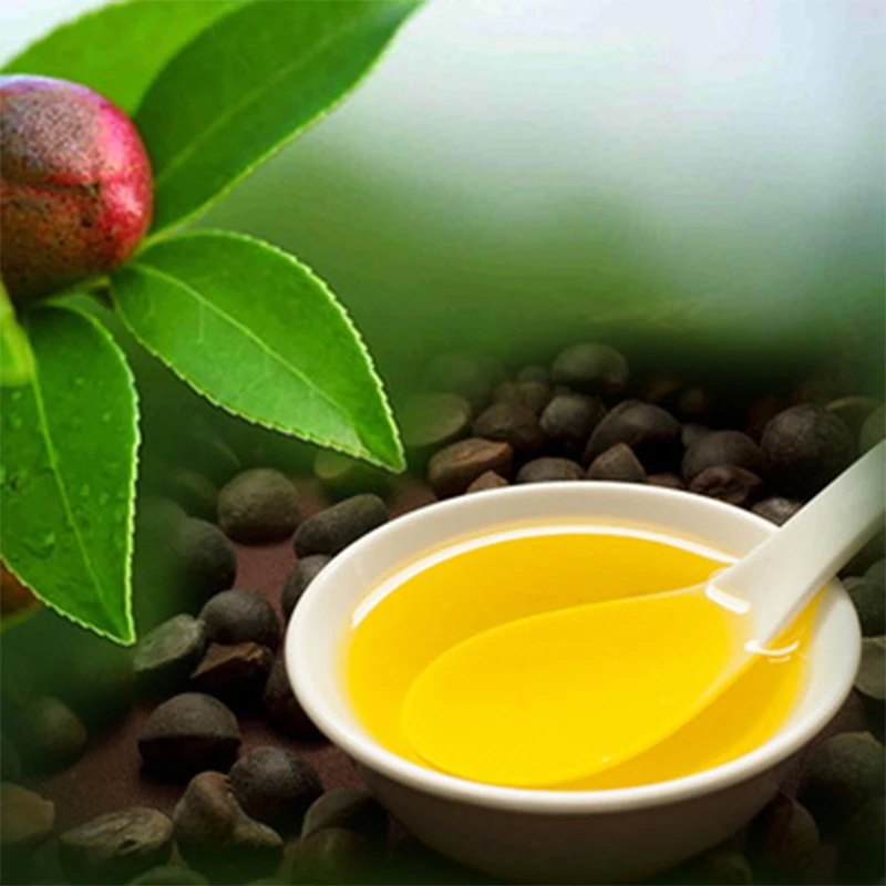 
Factory direct supply organic healthy white tea essential oil Camellia Seed Oil 
