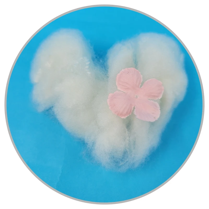 shenzhen recycled nylon 6 fiber glass