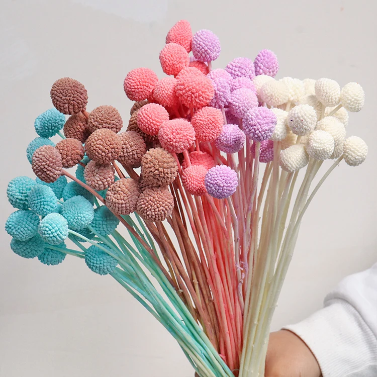 A-20 wholesale cheap natural Golden ball dry for candles arrangement resin Decorative flowers dried flower