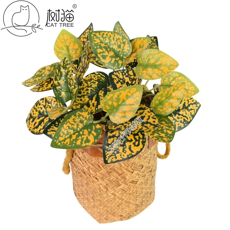 Высококачественные искусственные листья растения aglaonema другие декоративные цветы и