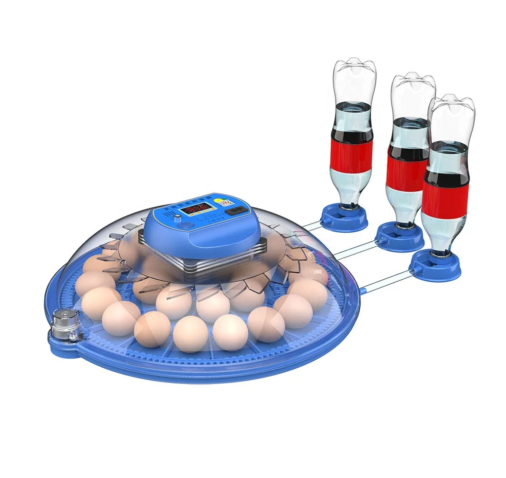 Tongda Mini 8/26/52 Capacity Chicken Eggs Incubator For Hatching Eggs