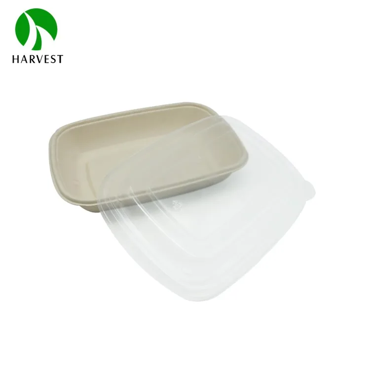 Unbleached Pulp Rectangular Disposable Food Container With Pet Pp Lid