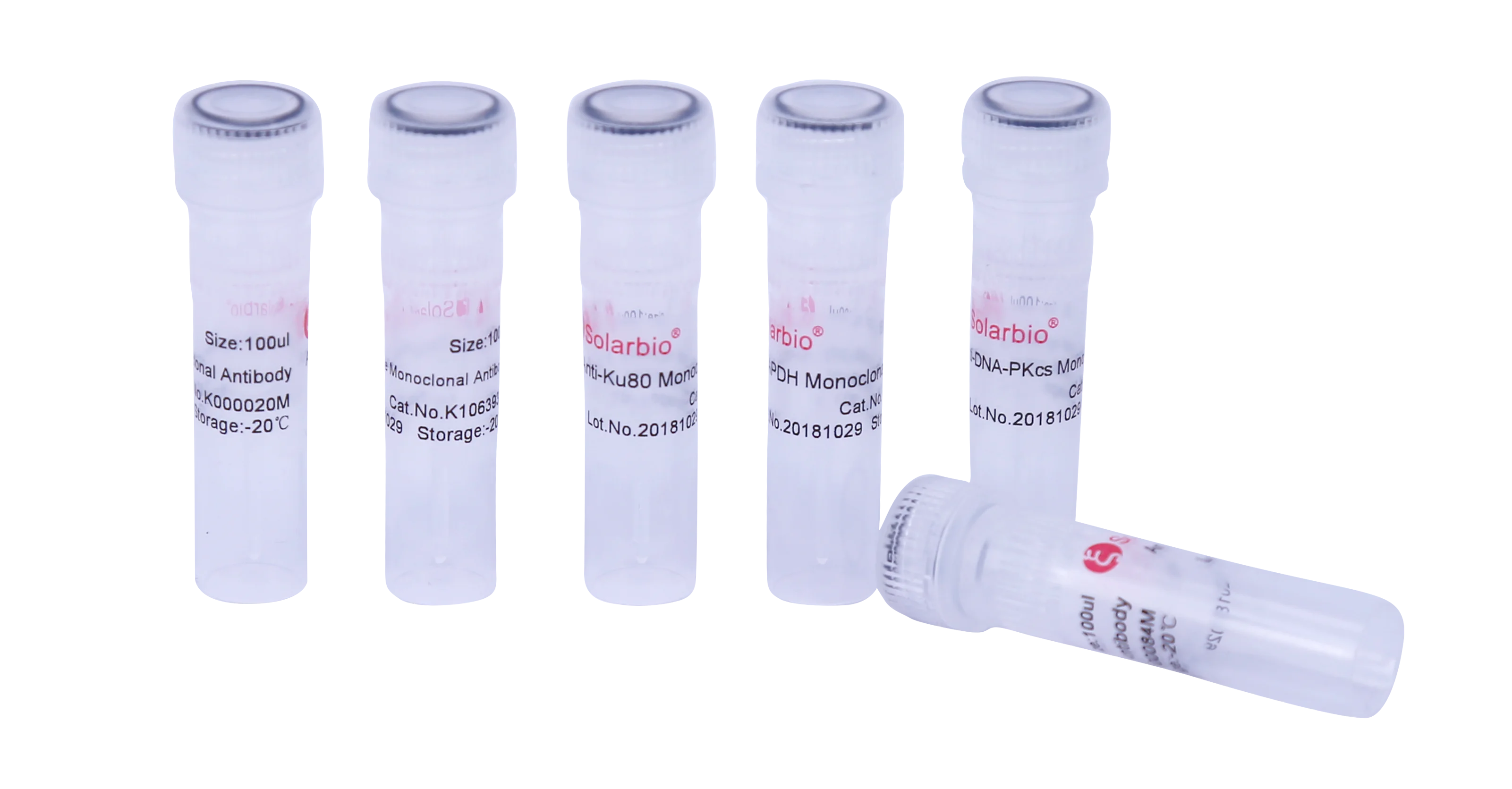 Customized Antibody Hot Sale Anti-Strep tag Monoclonal Antibody Chemical Laboratory Scientific Research Raw Materials