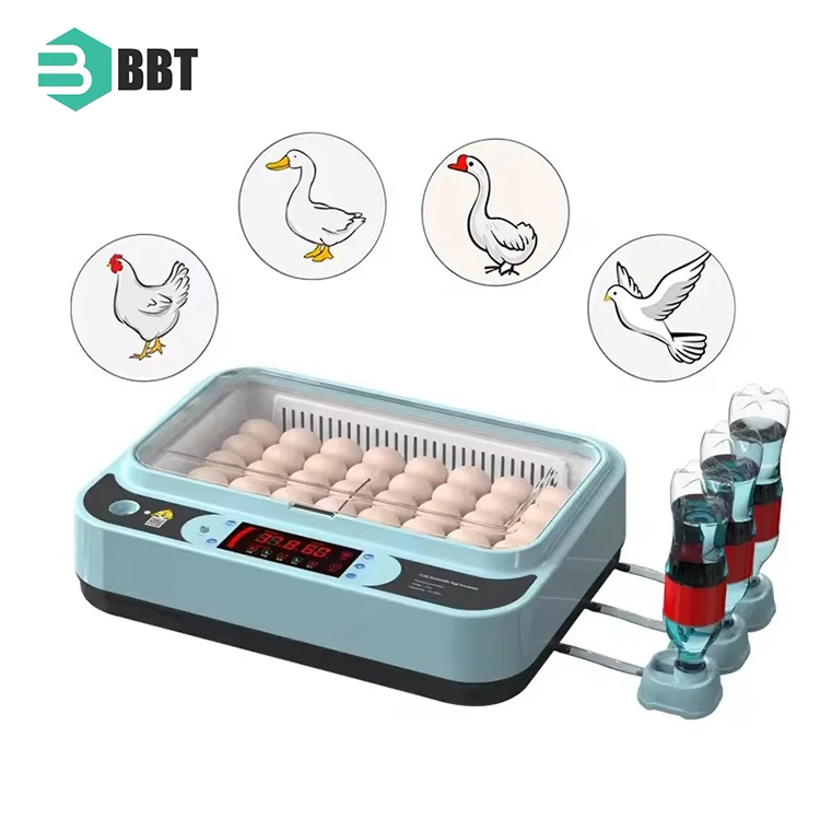 New Design Incubator Egg Hatching Machine Mini Egg Incubator 36 Chicken Eggs Incubator For Sale